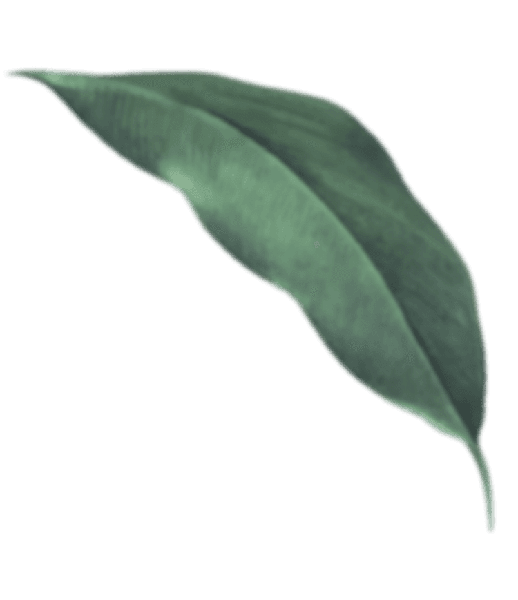 altTextAnimatedLeaf