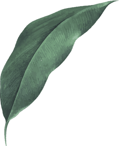 altTextAnimatedLeaf