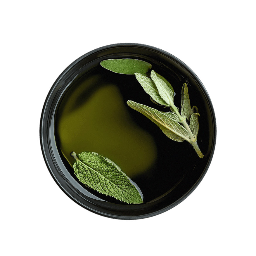 Tea cup of Mint Sage