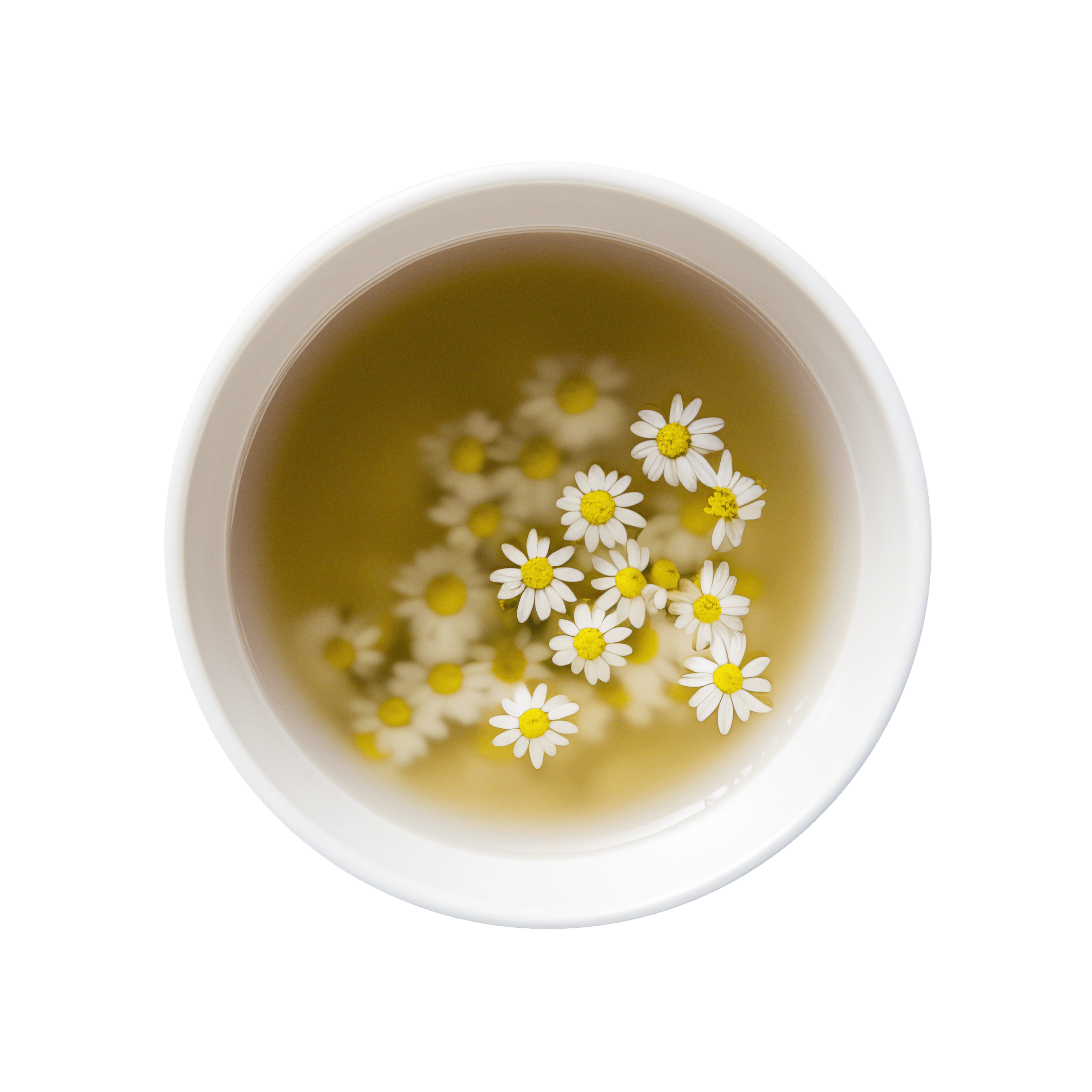 Tea cup of Comforting Chamomile